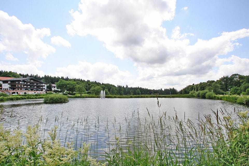 Immediate Surroundings [summer] (<1 km)