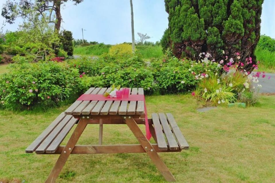 Garden [summer]