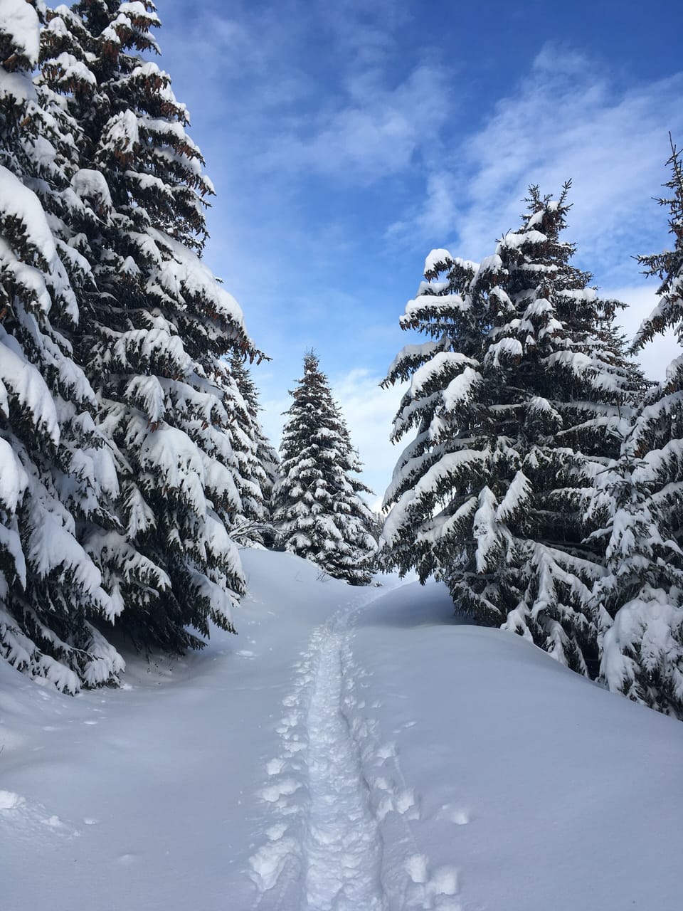 Snow and ski sports
