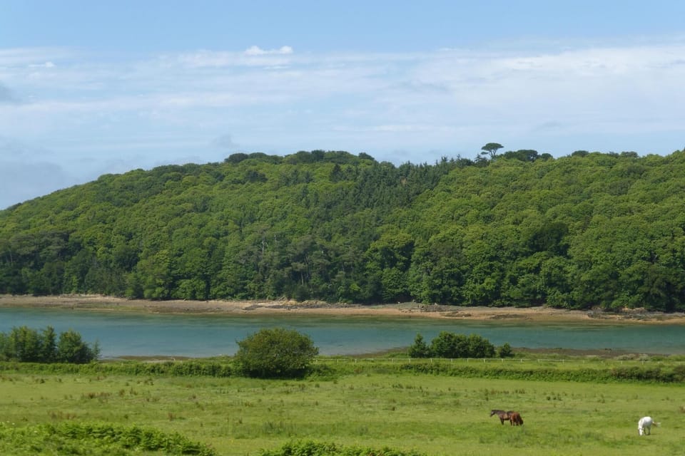 Surroundings [summer] (1-5 km)