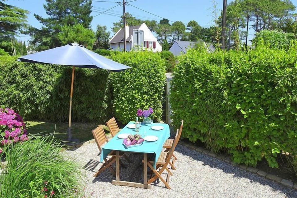 Garden [summer]