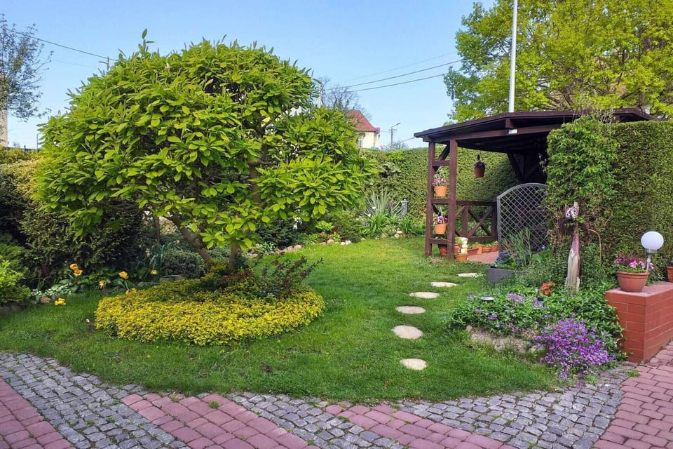 Garden [summer]