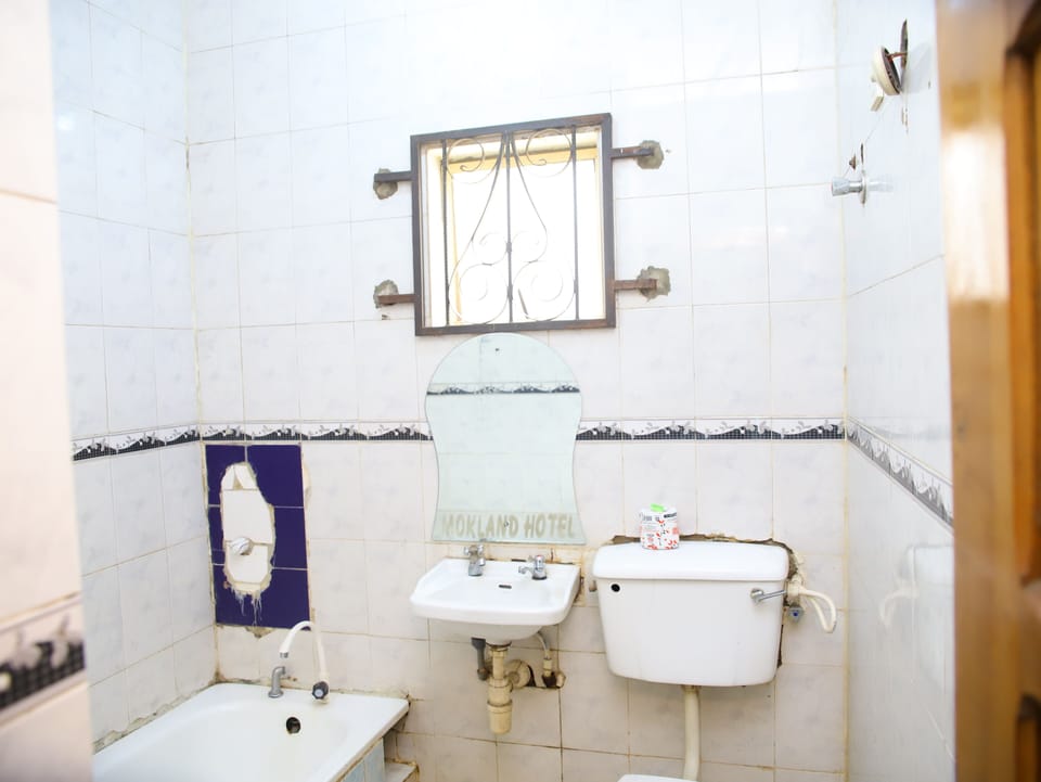 Superior Double Room | Bathroom | Free toiletries, towels