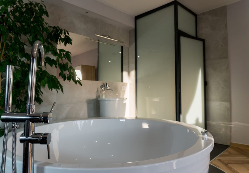 Exclusive Room | Bathroom | Shower, towels, soap, toilet paper