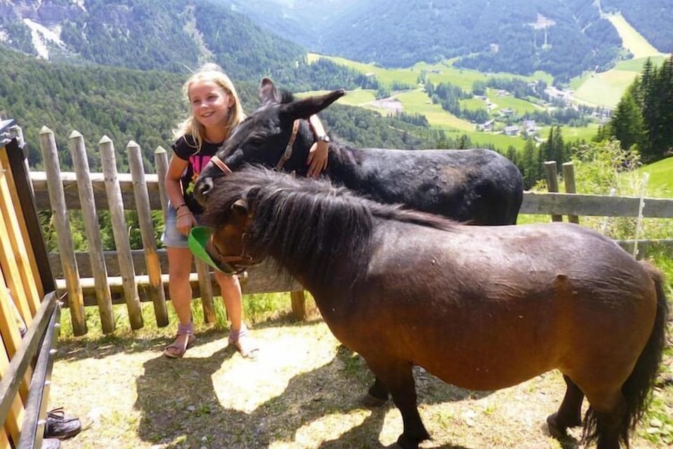 Surroundings [summer] (1-5 km)