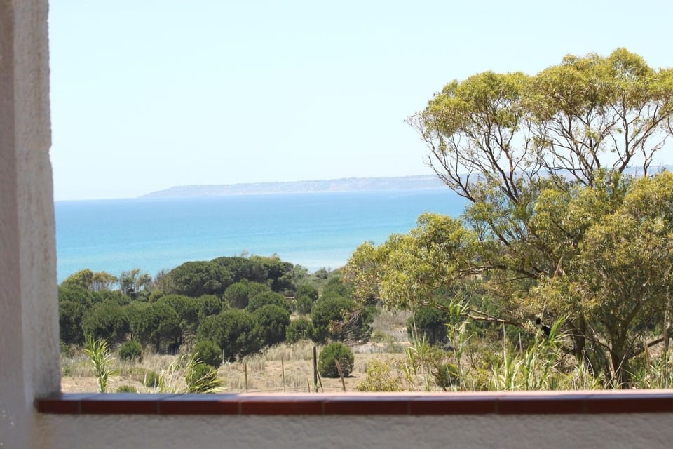 View from Holiday Home [summer]