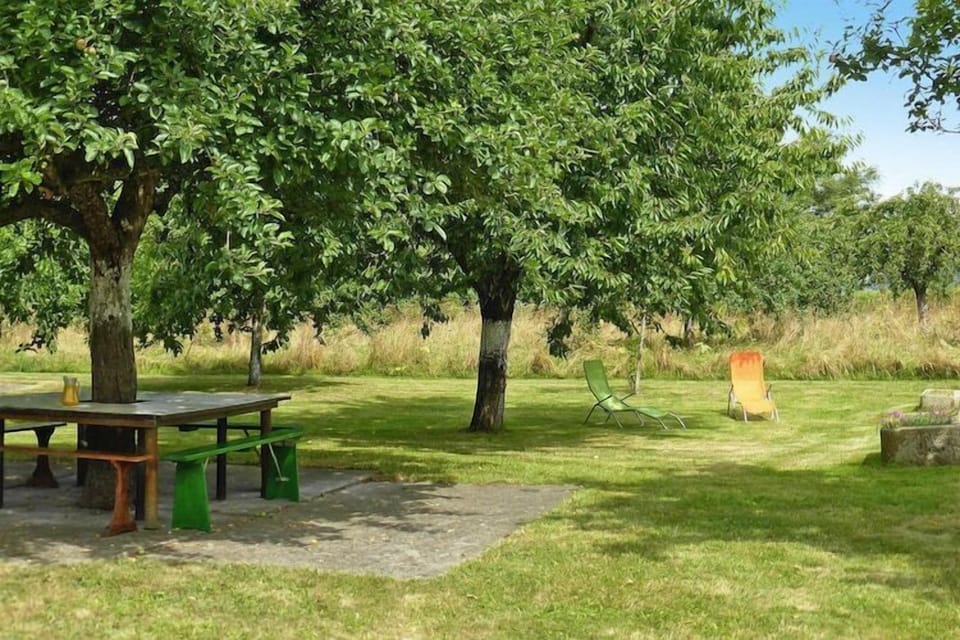 Garden [summer]