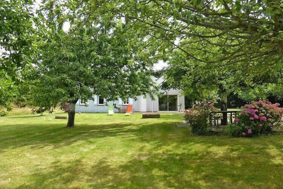 Garden [summer]