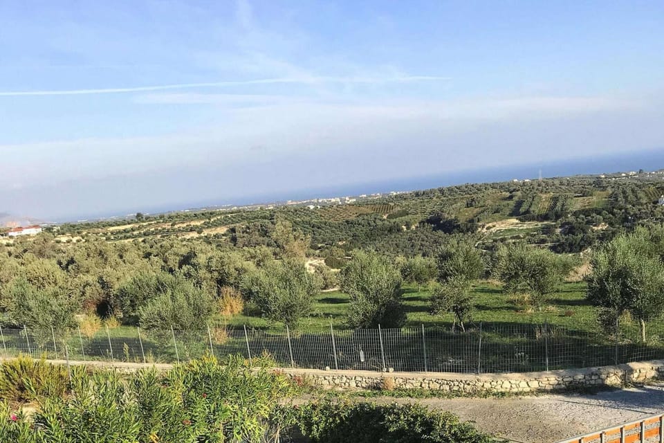 View from Holiday Home [summer]