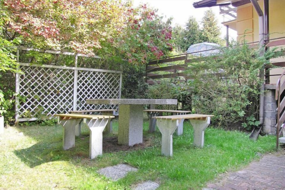 Garden [summer]