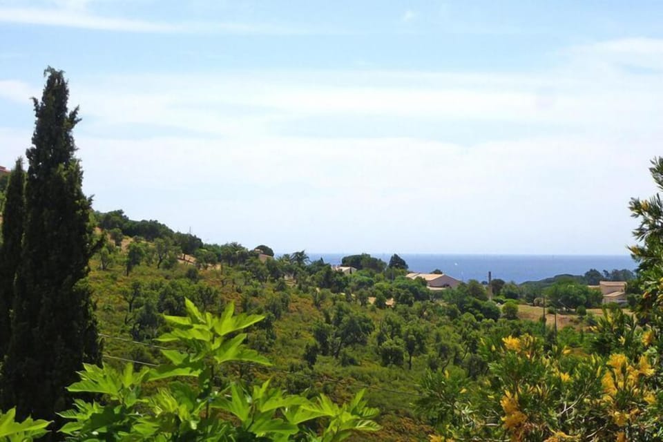 View from Holiday Home [summer]