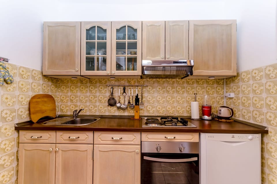 Apartment (A1) | Private kitchen | Fridge, microwave, oven, stovetop