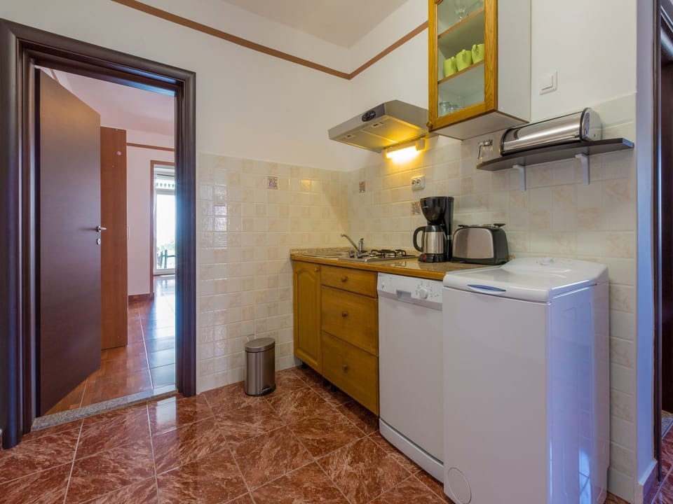 Apartment (A3) | Private kitchen | Fridge, microwave, stovetop, dishwasher