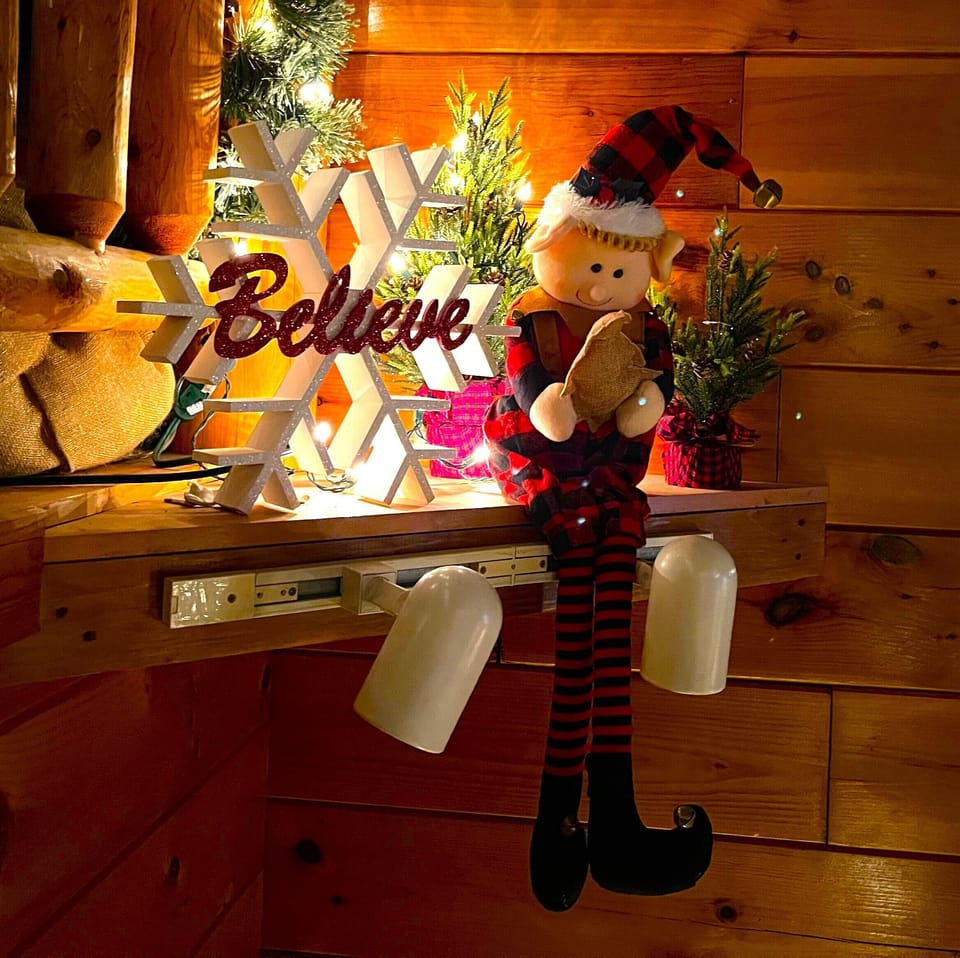 Our Version of Elf on the Shelf!!