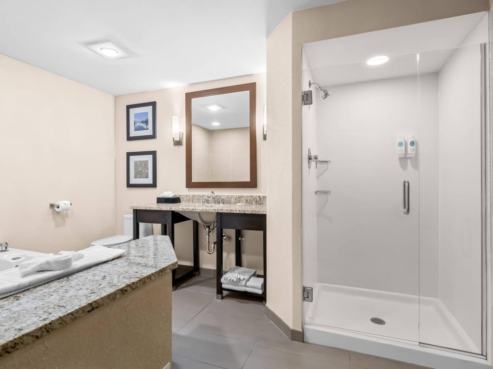 Suite, 1 King Bed with Sofa bed, Non Smoking (2 Person Sofa bed) | Desk, blackout drapes, iron/ironing board, free cribs/infant beds