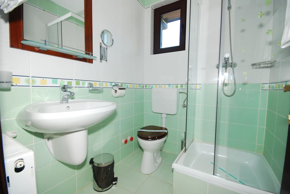 Double Room | Bathroom | Shower, hair dryer, towels