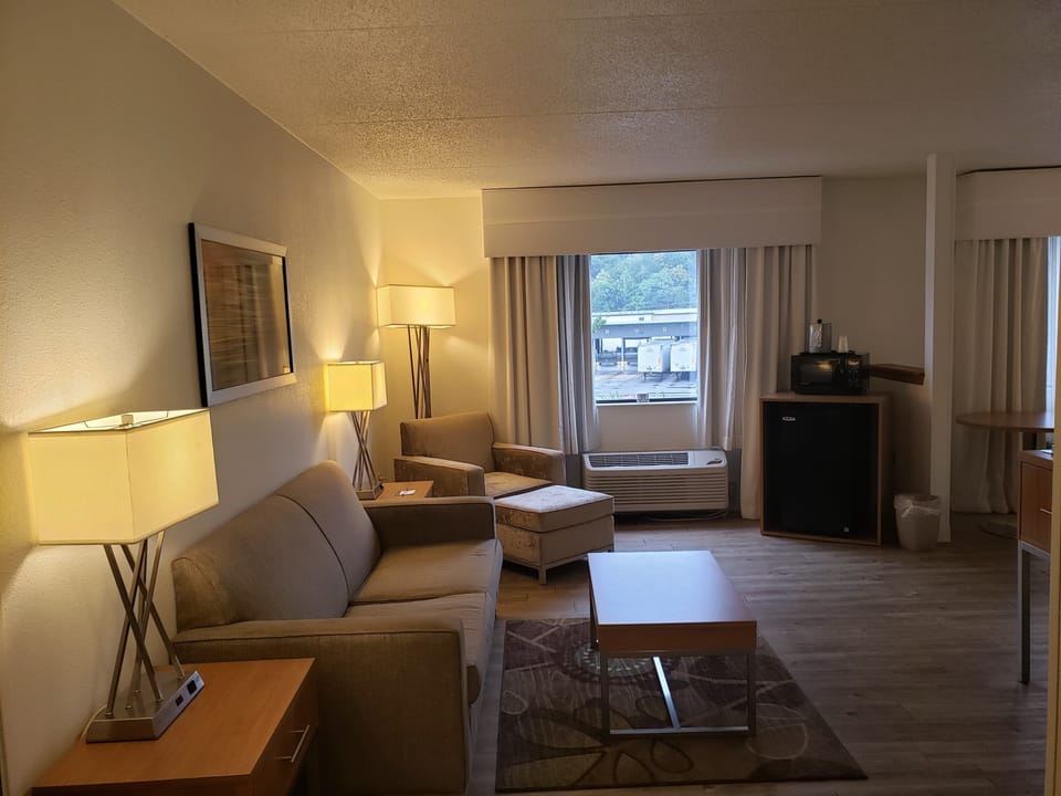 In-room safe, desk, iron/ironing board, cribs (free)