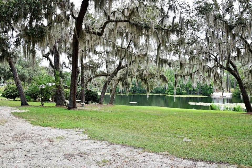 Front yard with pond view