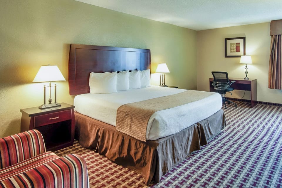 Room, 1 King Bed, Non Smoking | Desk, blackout drapes, iron/ironing board, WiFi (free)
