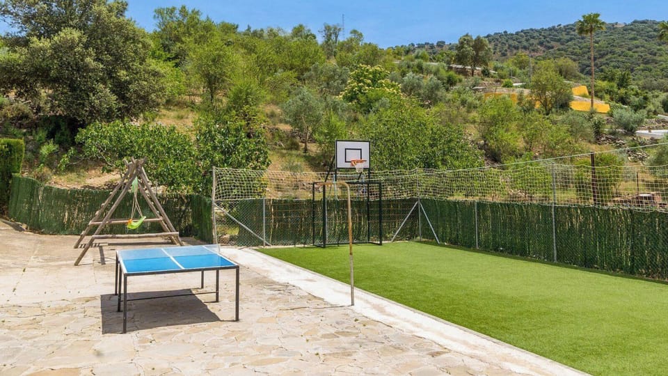 Sport court