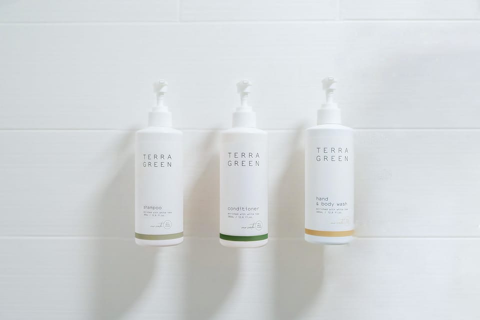 Combined shower/tub, hair dryer, towels, soap