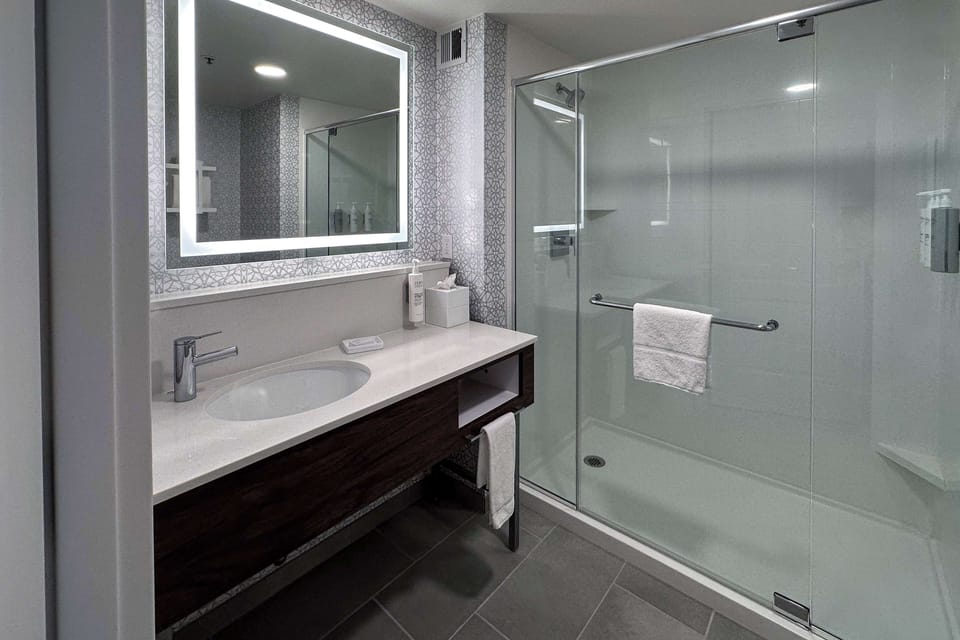Room, 1 King Bed, Accessible | Bathroom shower