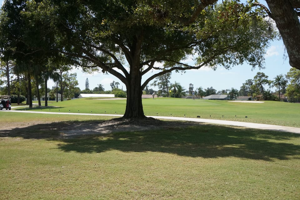 Golf course views