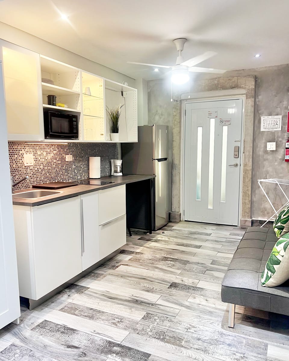 Apartment | Private kitchenette | Full-size fridge, microwave, stovetop, coffee/tea maker