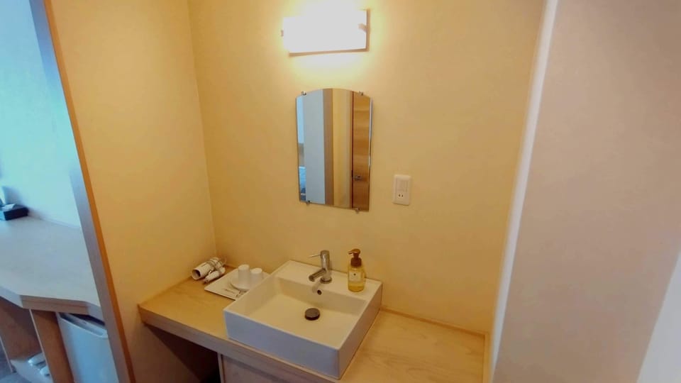 Slippers, electronic bidet