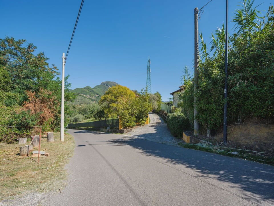 Plant, Sky, Road Surface, Asphalt, Natural Landscape, Land Lot, Slope, Thoroughfare, Tree, Landscape