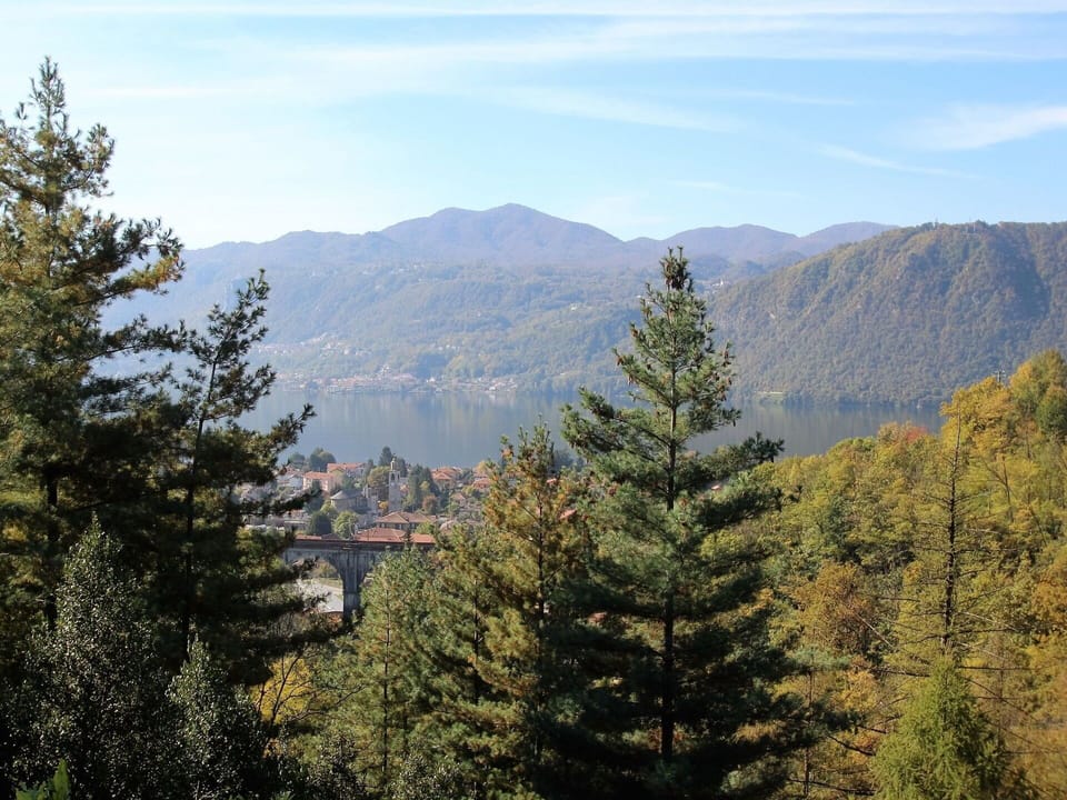 Mountainous Landforms, Larix Lyalliisubalpine Larch, Tree, Mountain, Nature, Wilderness, Tropical And Subtropical Coniferous Forests, Sky, Biome, Spruce-Fir Forest