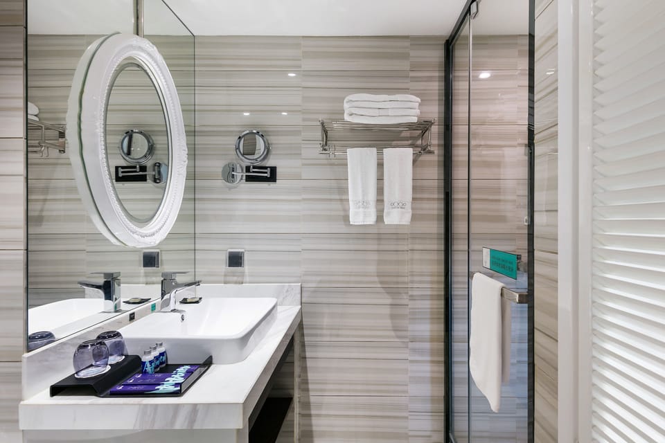 Deluxe Twin Room | Bathroom | Shower, free toiletries, hair dryer, slippers