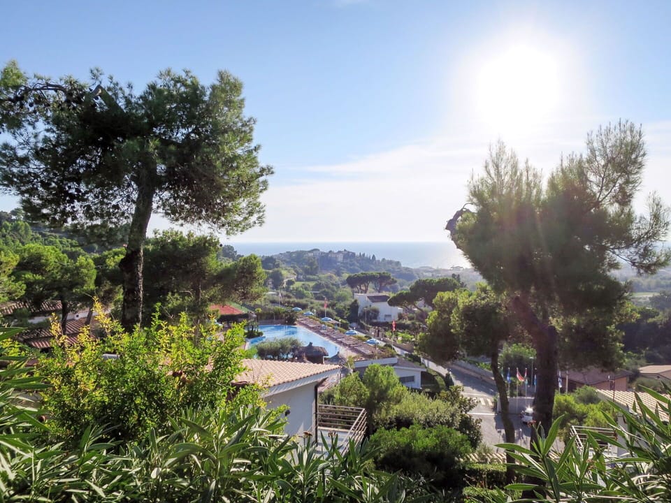 Vegetation, Tree, Sun, Garden, Shrub, Landscaping