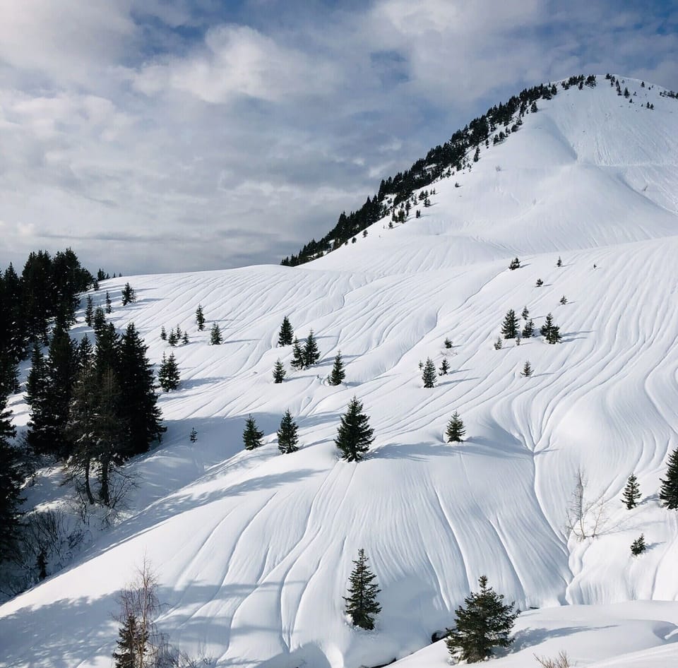 Snow and ski sports