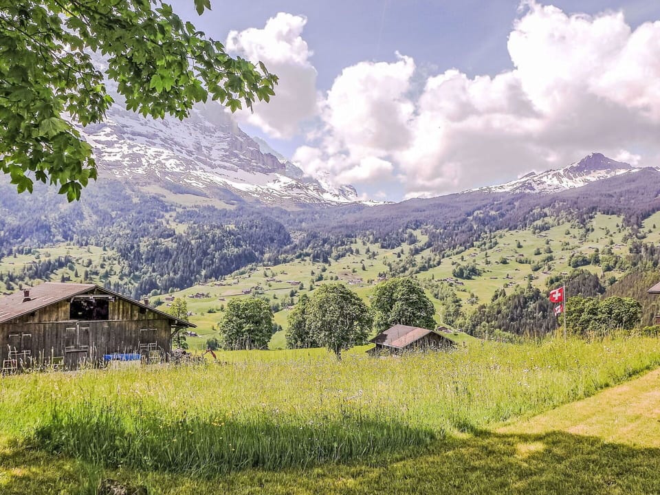 Mountainous Landforms, Grass, Mountain, Nature, Grassland, Natural Landscape, Highland, Pasture, Mountain Range, Hill