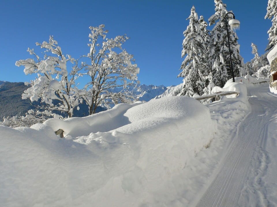 Snow, Winter, Tree, Sky, Geological Phenomenon, Freezing, Mountain, Terrain, Alps, Cloud