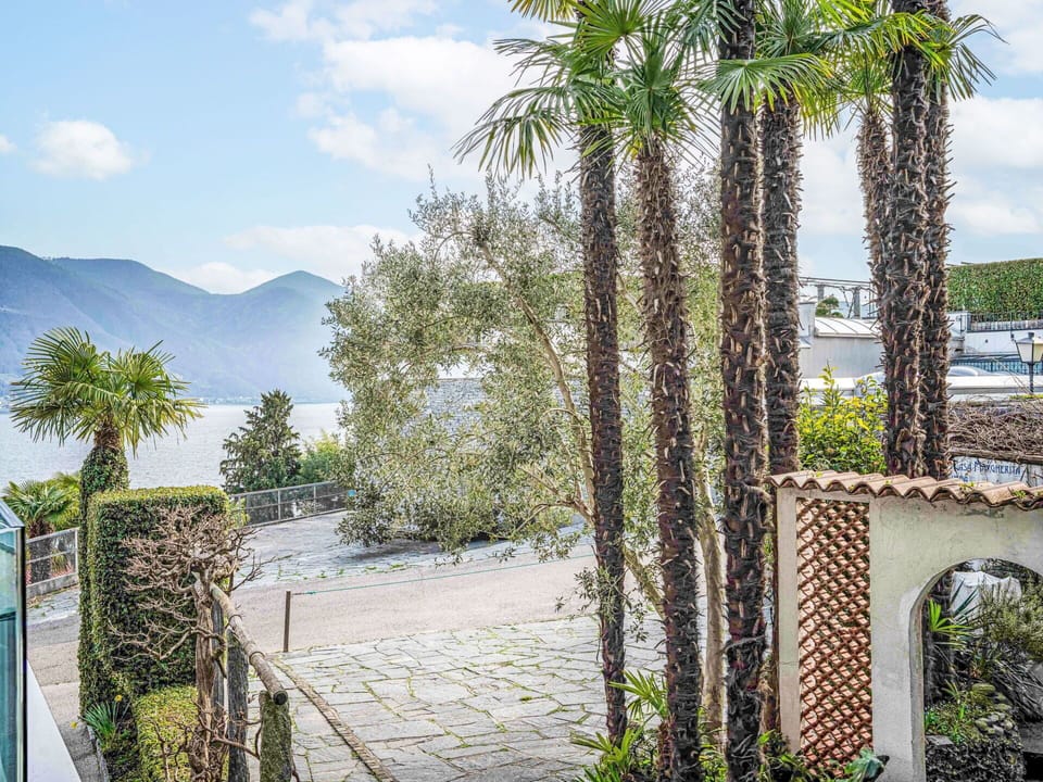 Vegetation, Coast, Garden, Tropics, Eco Hotel, Landscaping, Walkway