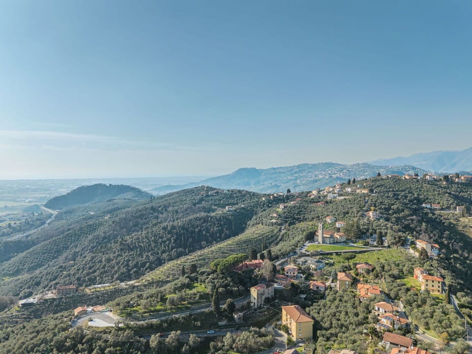 Nature, Mountainous Landforms, Vegetation, Hill, Landscape, Horizon, Highland, Hill Station, Rural Area, Morning