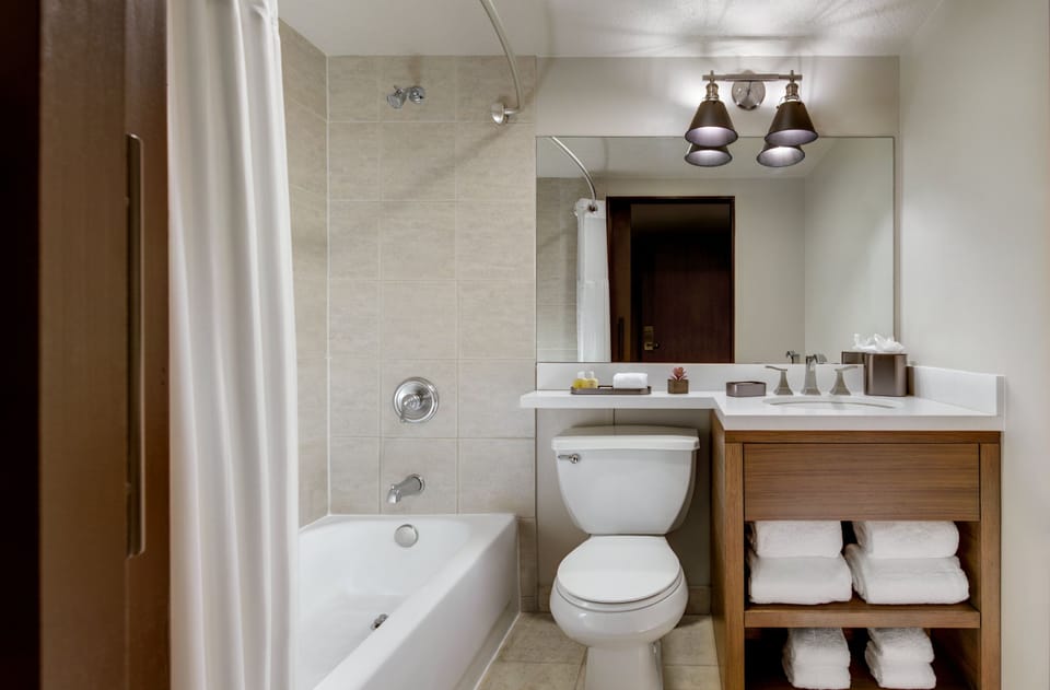 Combined shower/tub, free toiletries, hair dryer, towels