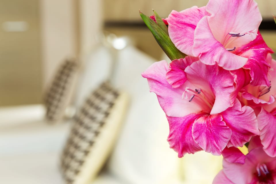 Minibar, in-room safe, desk, soundproofing