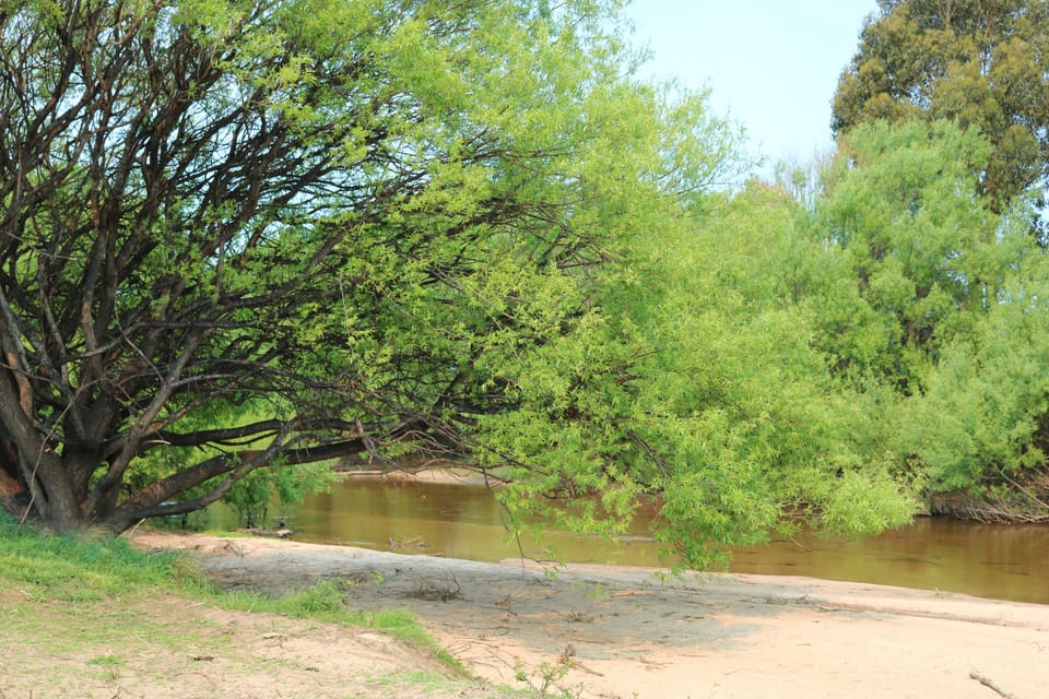 Private Beach on George River
