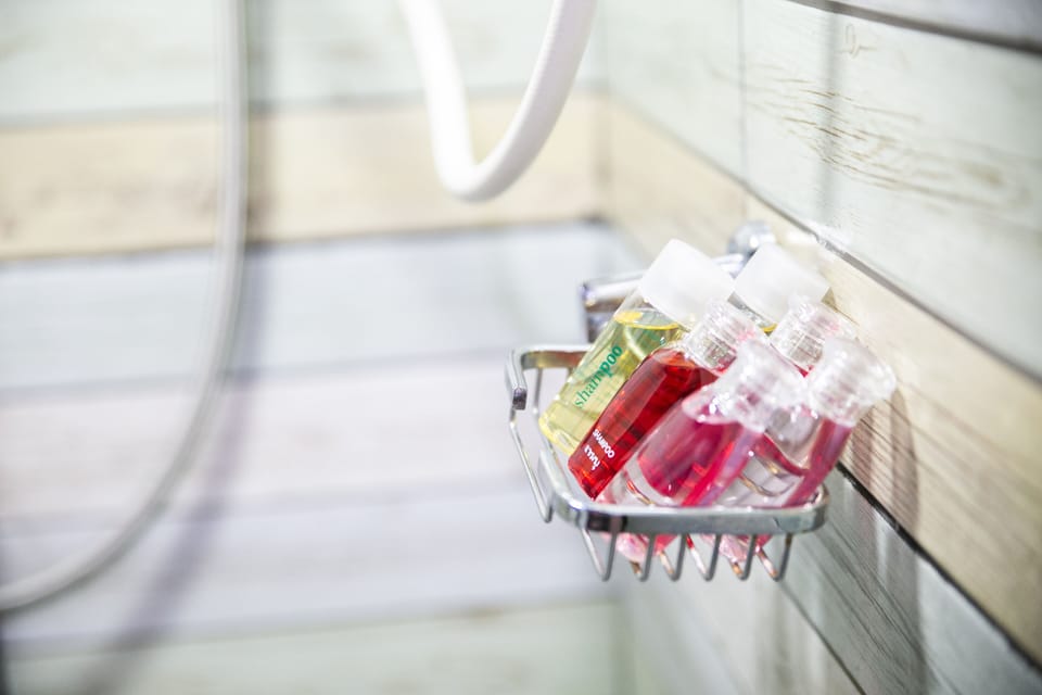Shower, free toiletries, bidet, towels