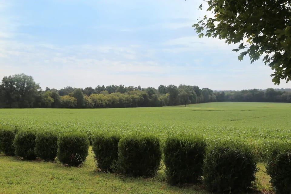 View from the yard looking out at the farm land.