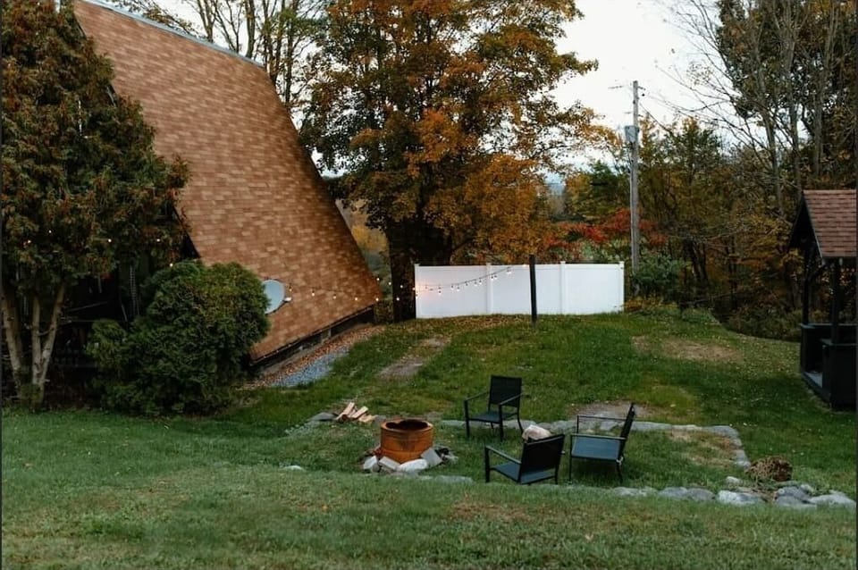 back of house and yard
