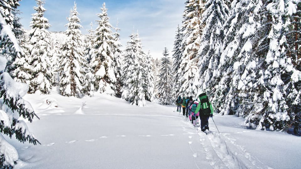 Snow and ski sports