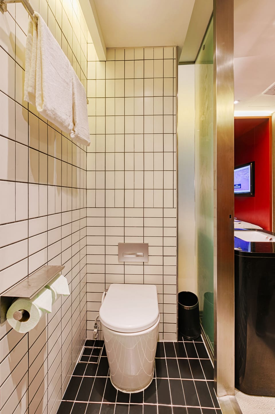 Shower, hair dryer, bidet, towels