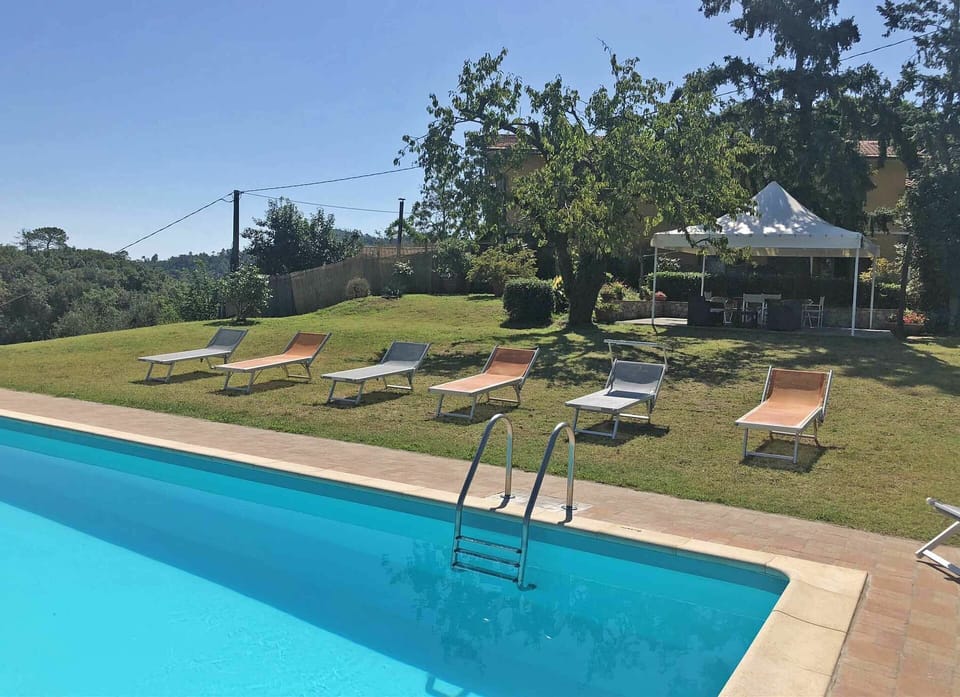 Garden, Pool