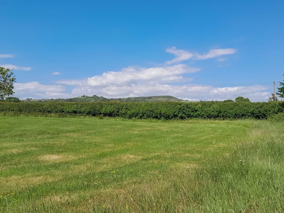Surrounding area | Cowdea 2, Bettiscombe