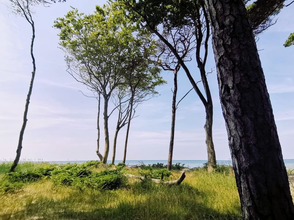 Land view from property
