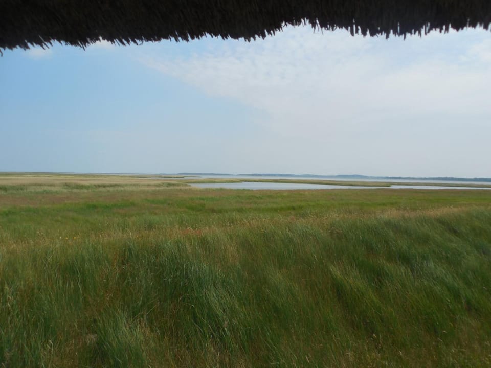 Land view from property